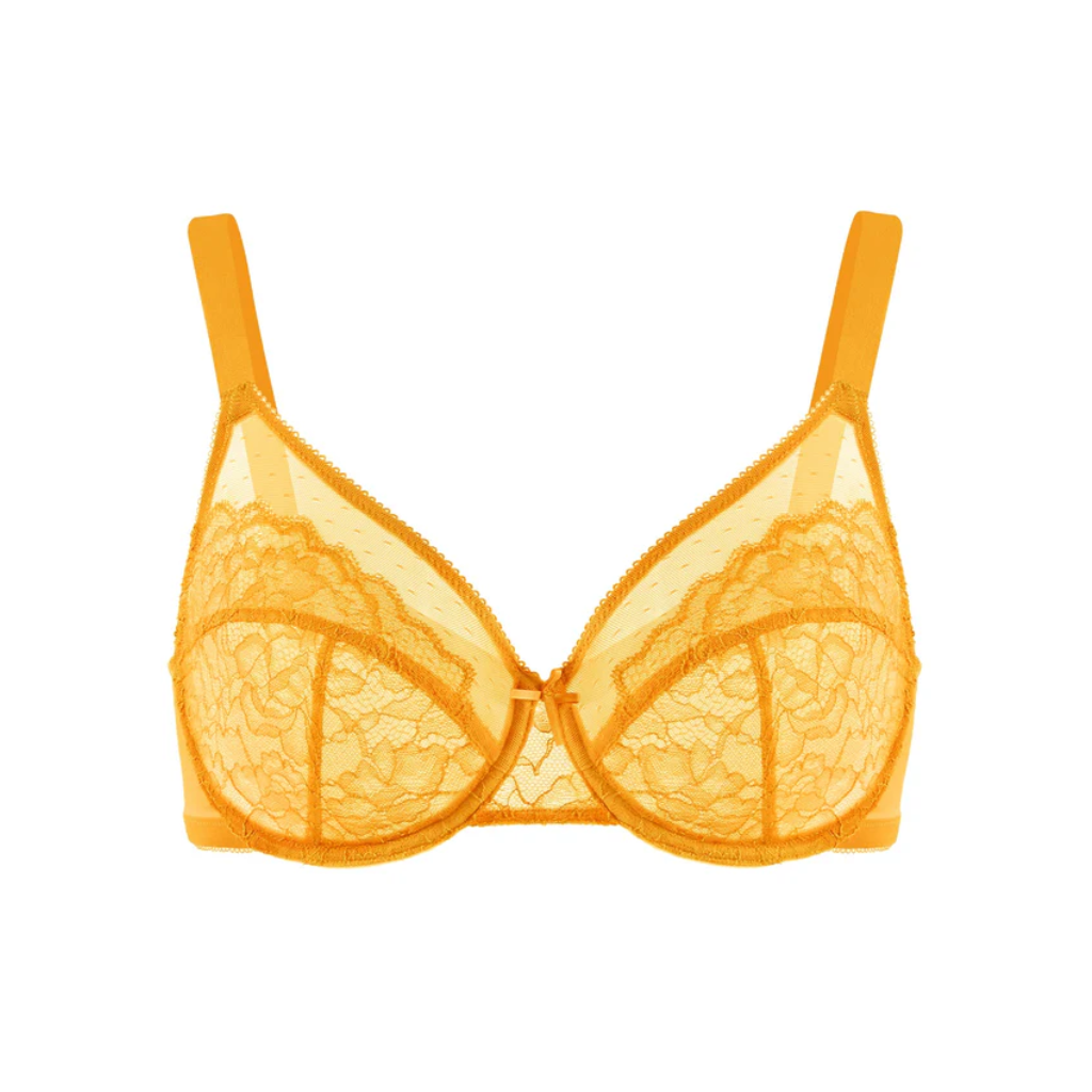 Minimizer Magic Bra Set