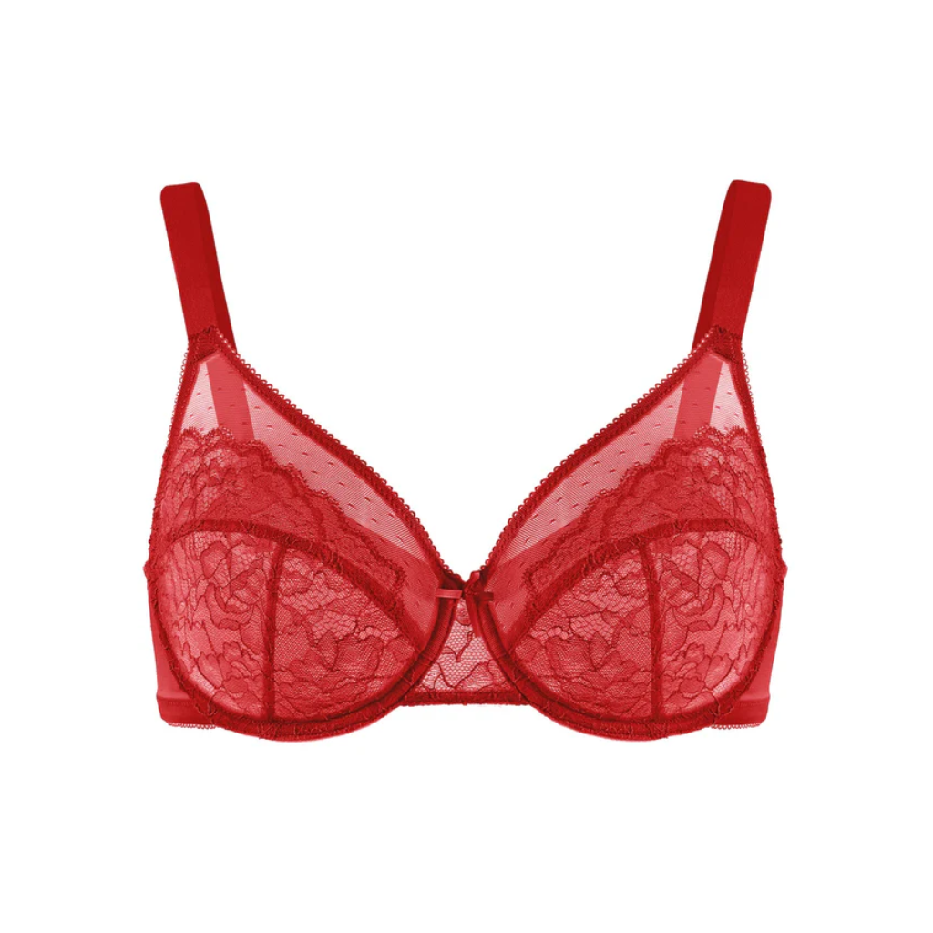Minimizer Magic Bra Set